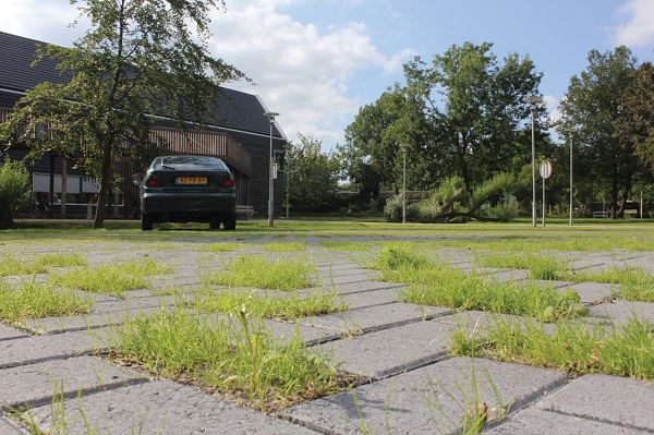 Grasbestrating - de 5 meest gestelde vragen over aanleg en onderhoud Grasbestrating - de 5 meest gestelde vragen over aanleg en onderhoud