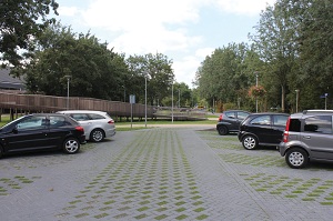bestrating met gras | greenbrick