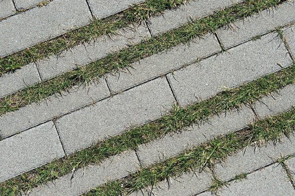 Grasbestrating Hydro Lineo 40 - betonstraatsteen met brede grasvoeg.