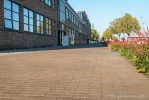 Sierbol globe|sierbol op straat|sierbollen beton