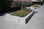 Amstelband langs groenstrook|betonnen verkeersgeleidebanden|Kamerling Onnesweg Dordrecht