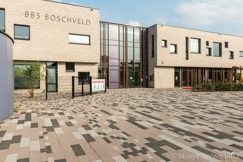 Brede Bossche School Boschveld